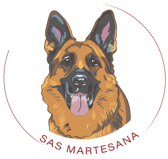 Logo SAS Martesana Logo SAS Martesana